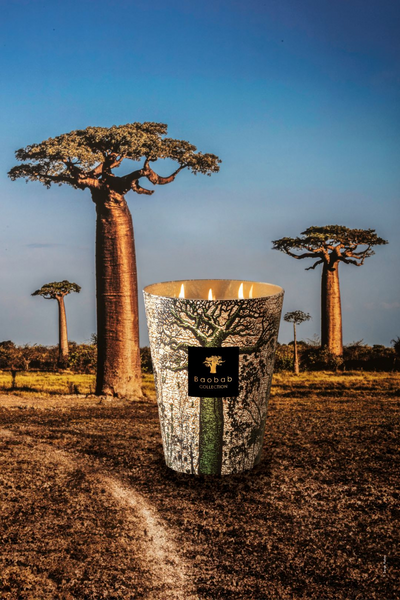 Botanical Baobab CD ボタニカル　バオバブ BAOBAB COLLECTION X SACRED TREES • Baobab Collection Inc