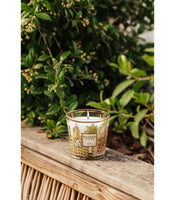 SCENTED CANDLE MY FIRST BAOBAB MIAMI