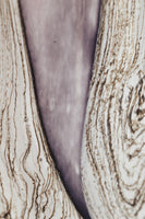 TOTEM WOODS BROCELIANDE