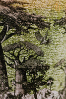 VELA SACRED TREES TOUBA