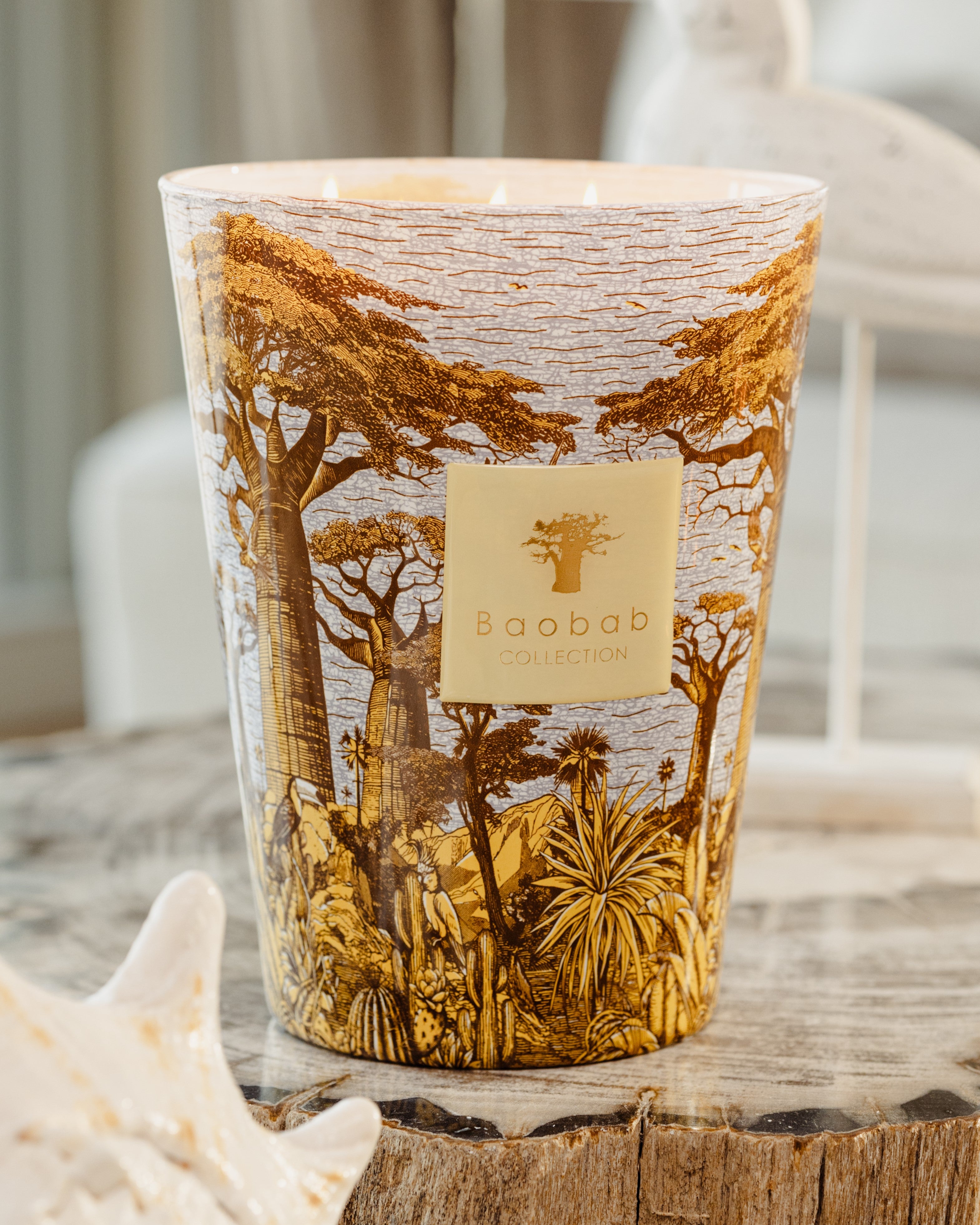 SCENTED CANDLE SACRED TREES COCODY - BAOBAB COLLECTION – Baobab