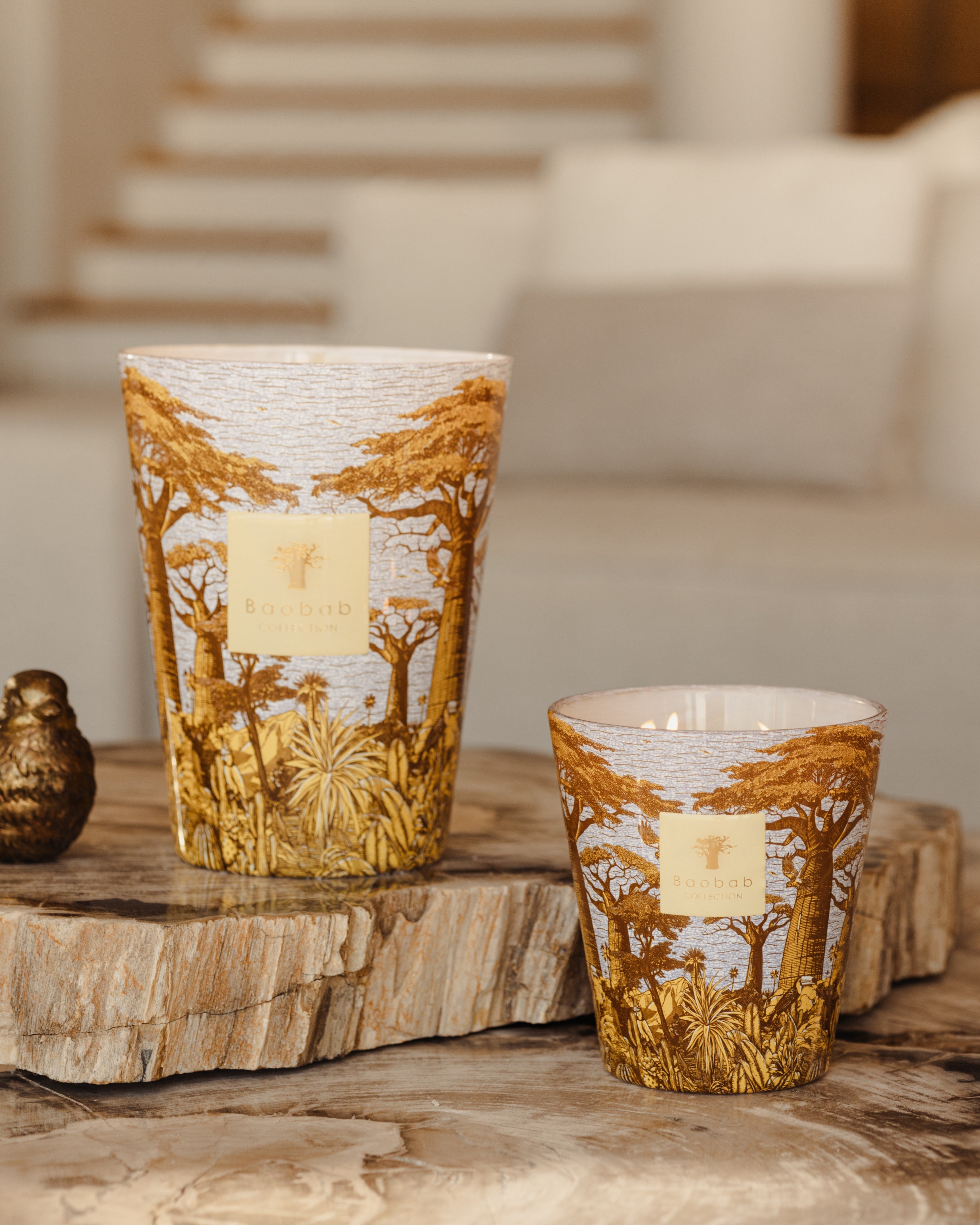 SCENTED CANDLE SACRED TREES COCODY - BAOBAB COLLECTION – Baobab