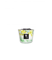 SCENTED CANDLE EDEN FOREST