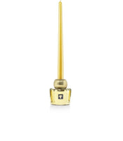 VELA HOLDER TWINS LES EXCLUSIVES AURUM