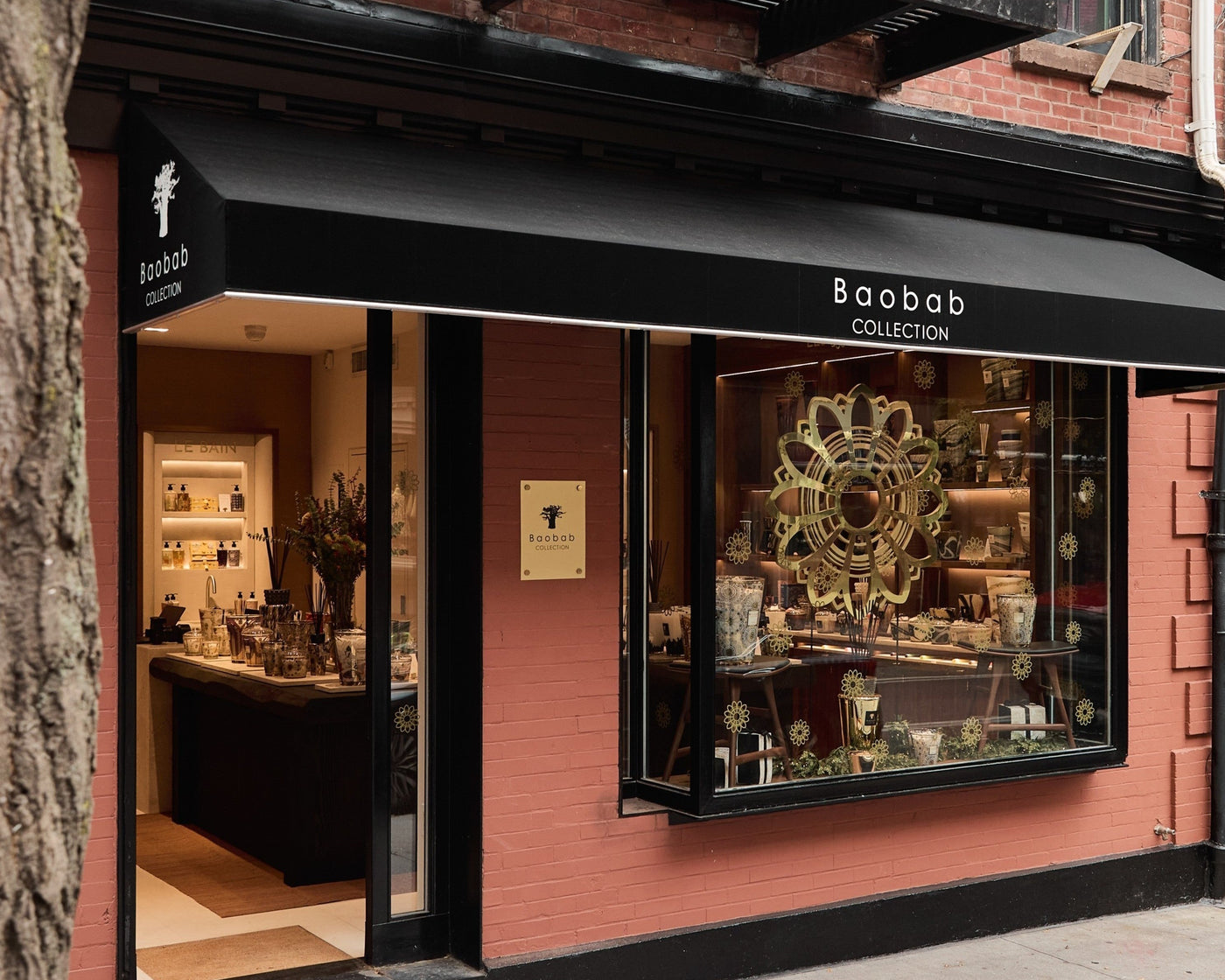 BAOBAB COLLECTION OPENS A NEW STORE IN NEW YORK