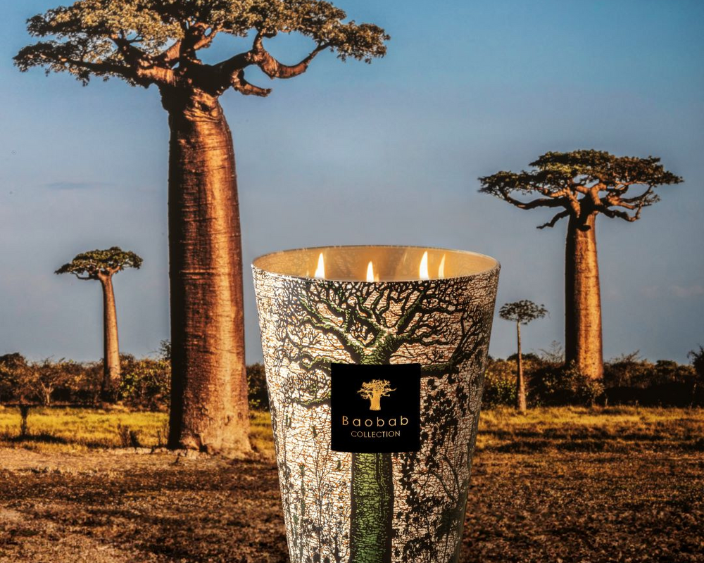 BAOBAB COLLECTION X SACRED TREES