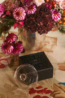 CÚPULA DE CRISTAL MAX10