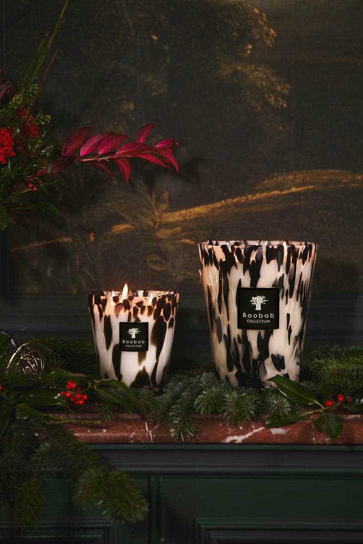 TOMORROWLAND – Baobab Collection