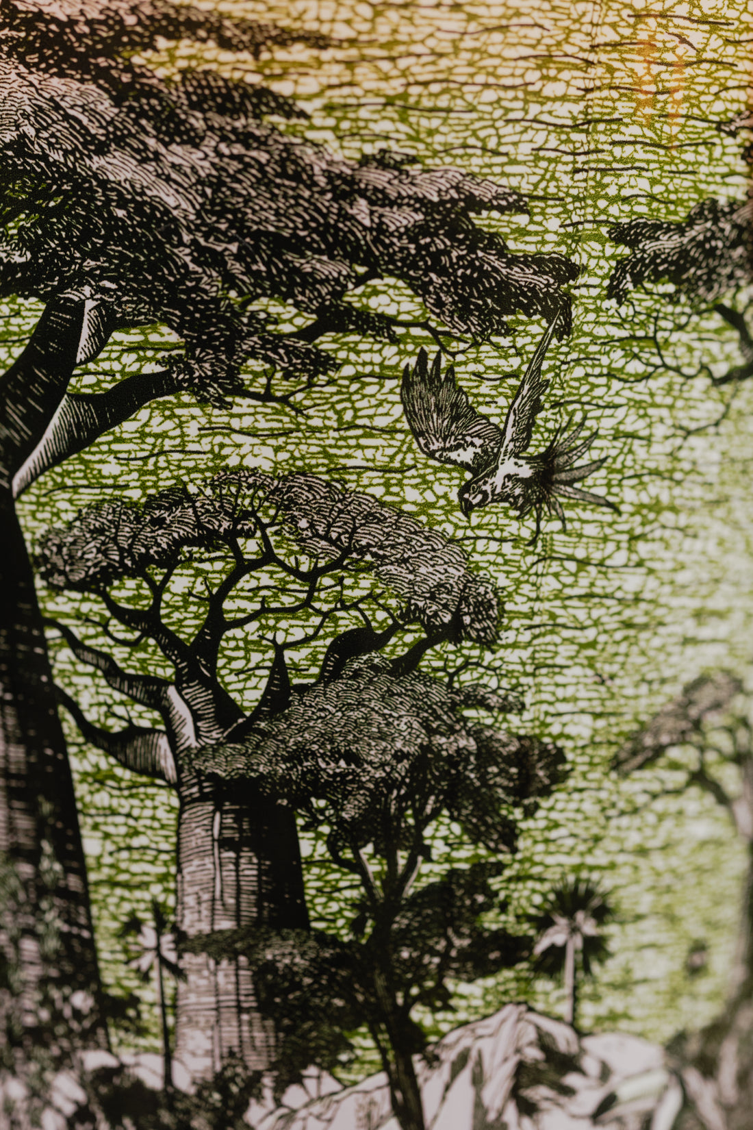 VELA SACRED TREES TOUBA