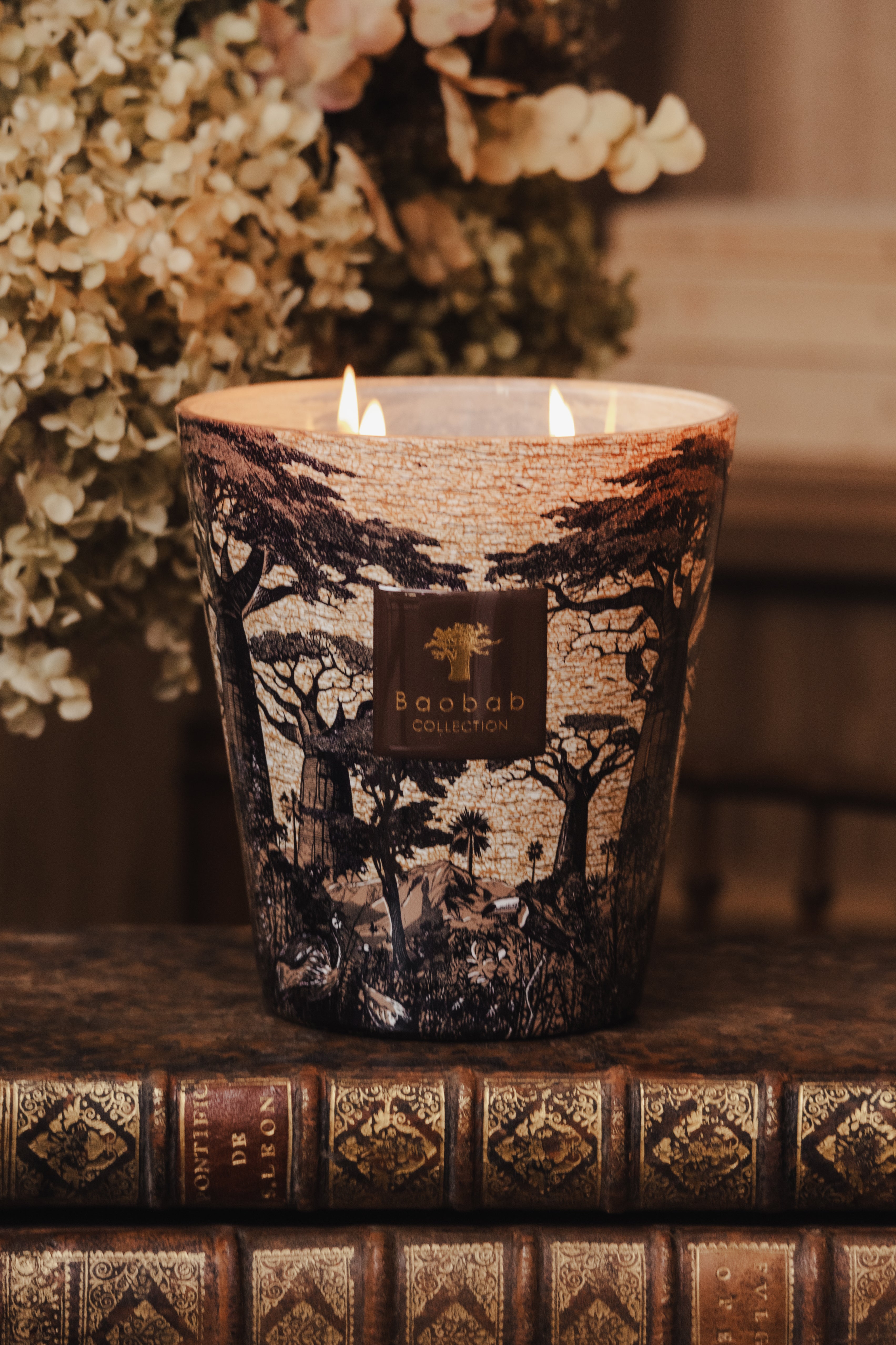 Scented candles • Baobab Collection Inc