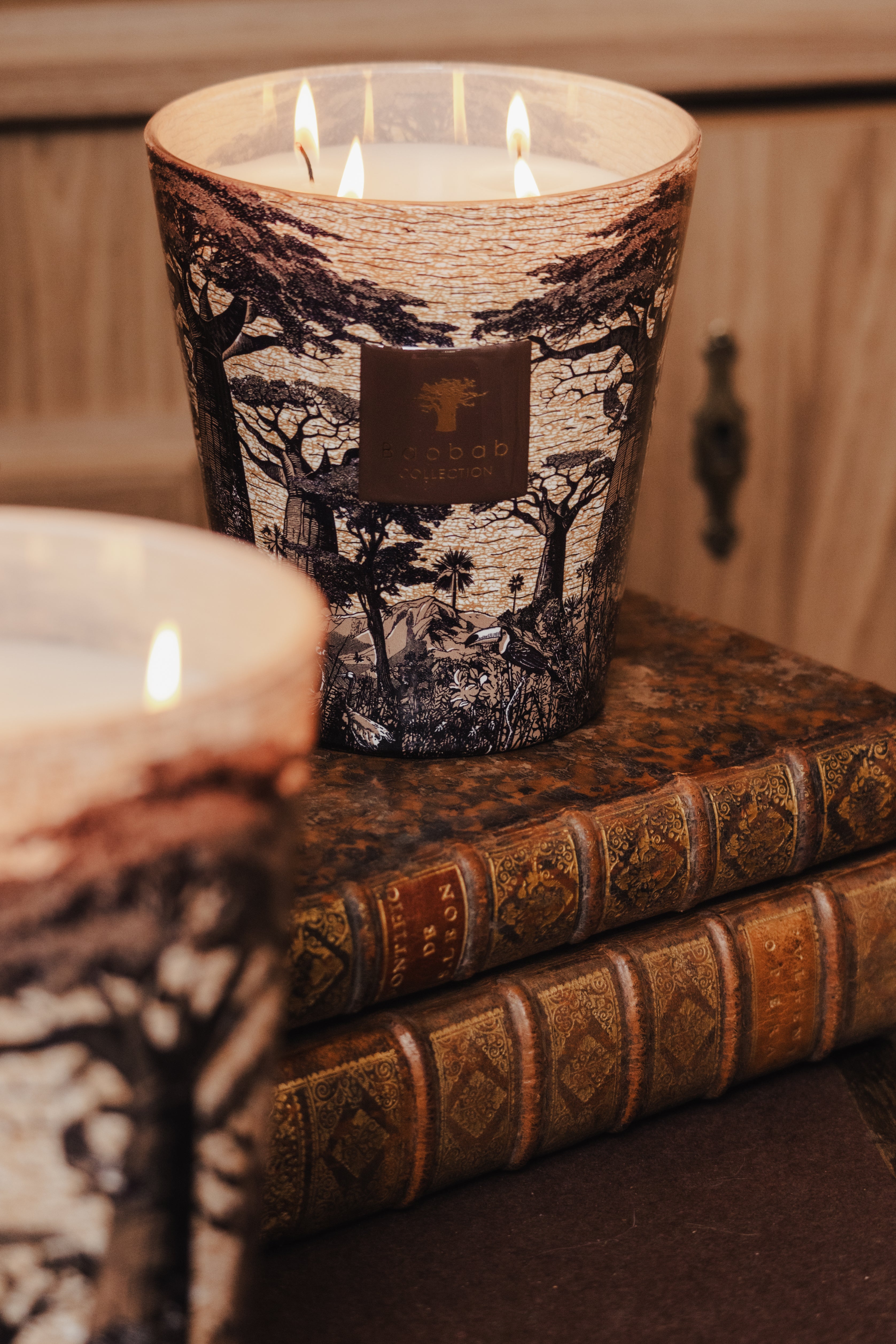 BAOBAB COLLECTION X SACRED TREES • Baobab Collection Inc