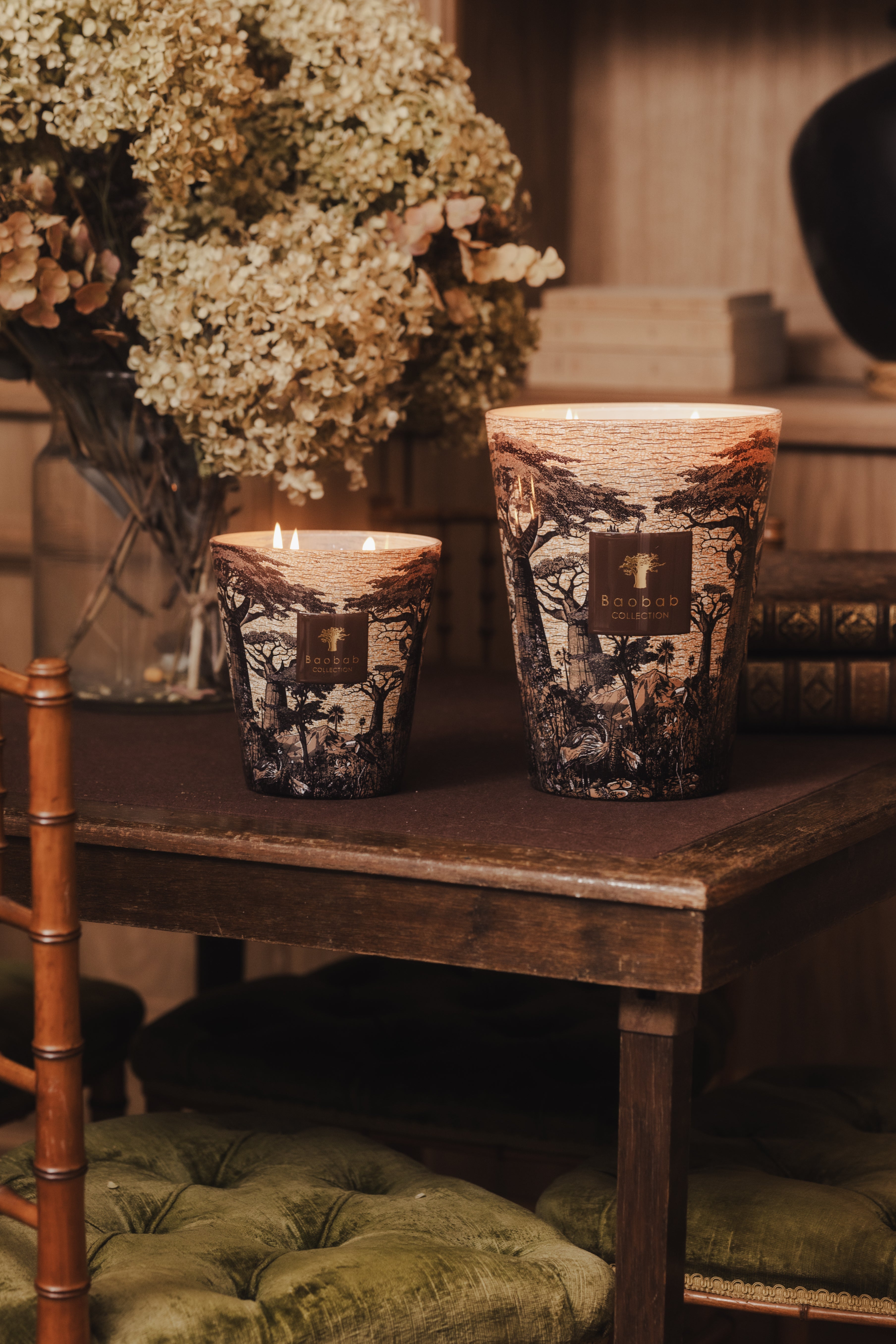 Sacred Trees Collection - Baobab • Baobab Collection Inc