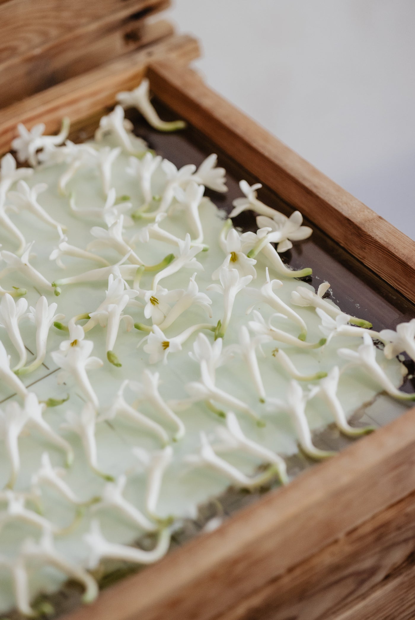 to olfactive signatures