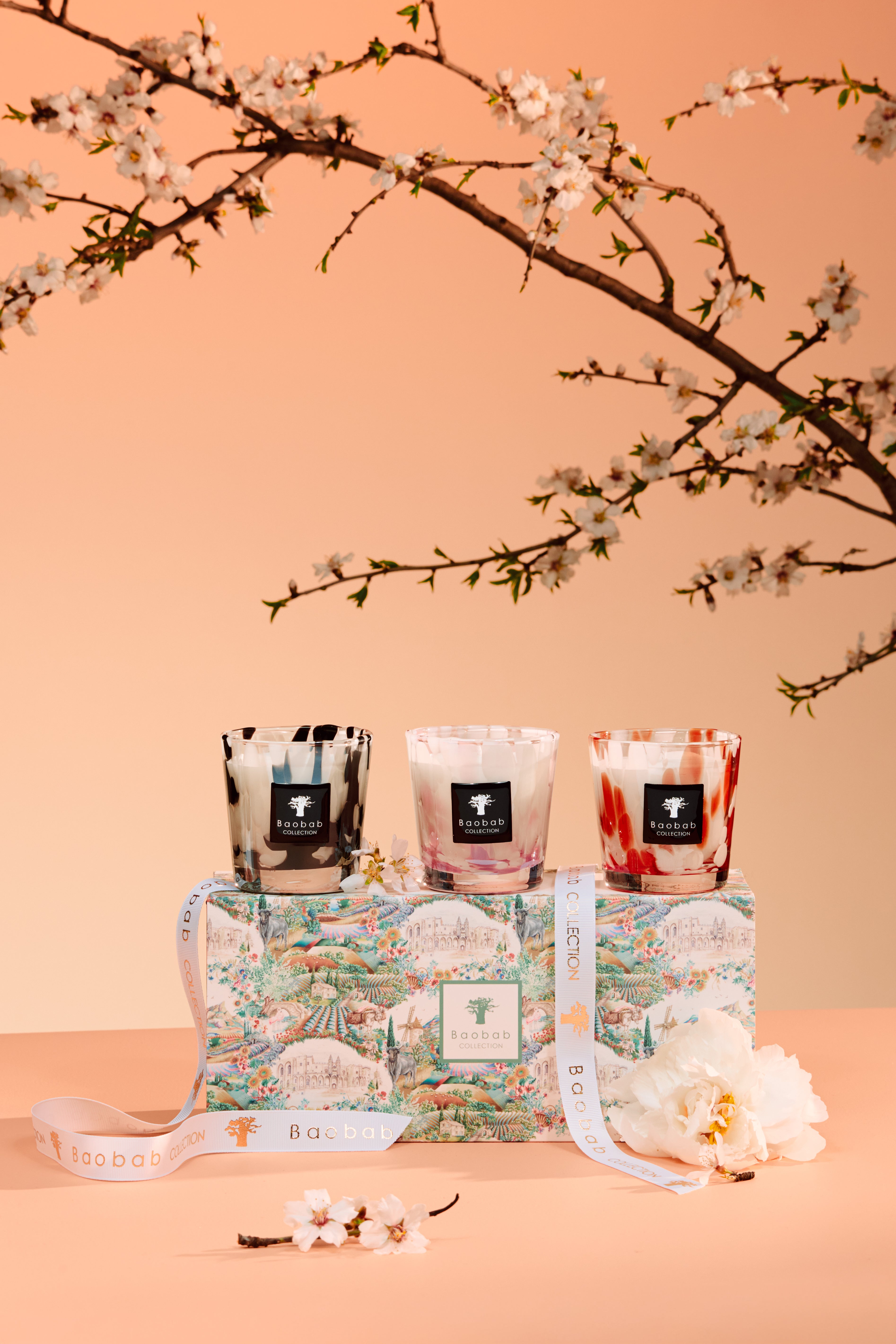 baobabの実様3点セット PEARLS CANDLE TRIO - BAOBAB COLLECTION • Baobab Collection Inc