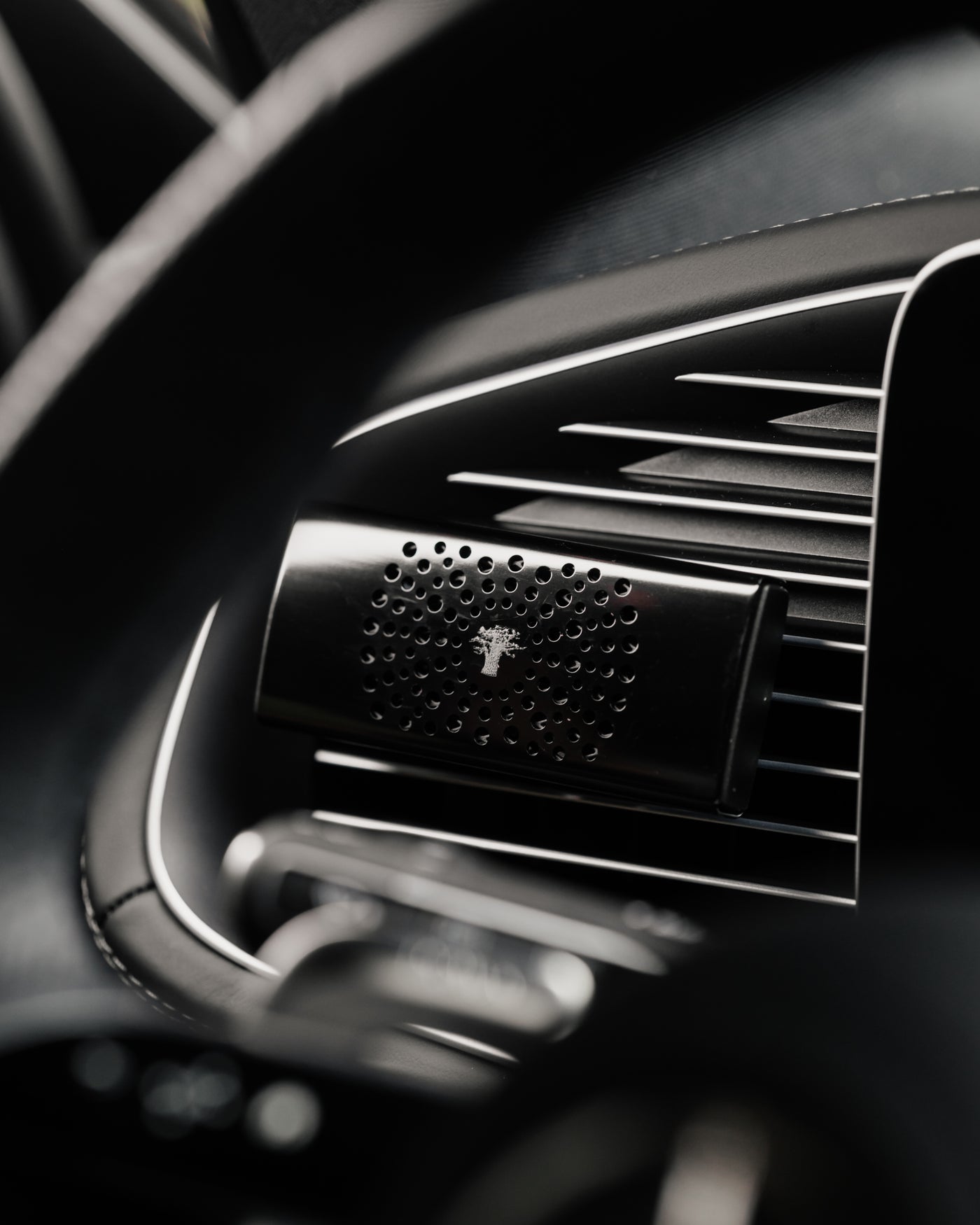 CAR DIFFUSER BLACK PEARLS