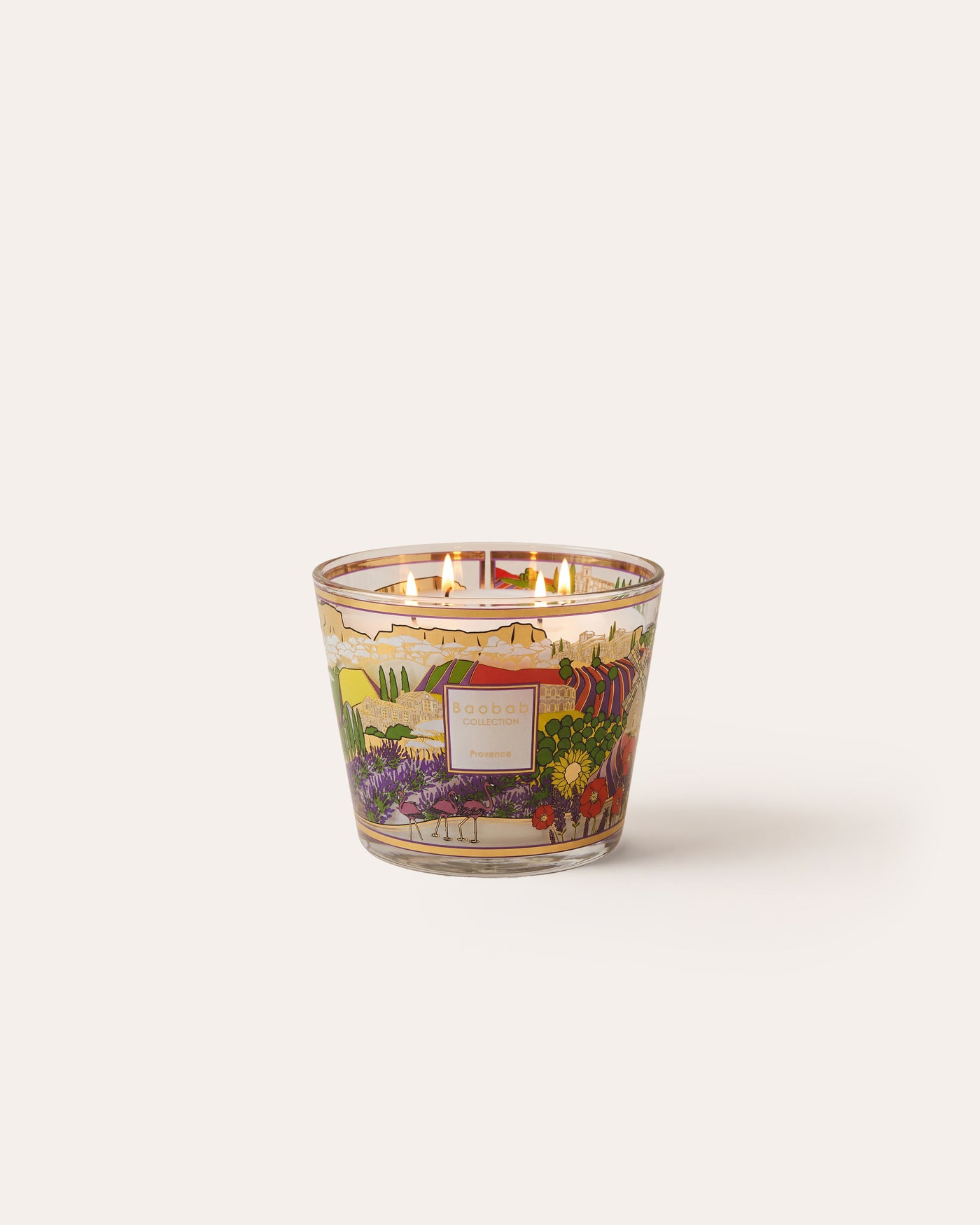 SCENTED CANDLE PROVENCE MAX 10