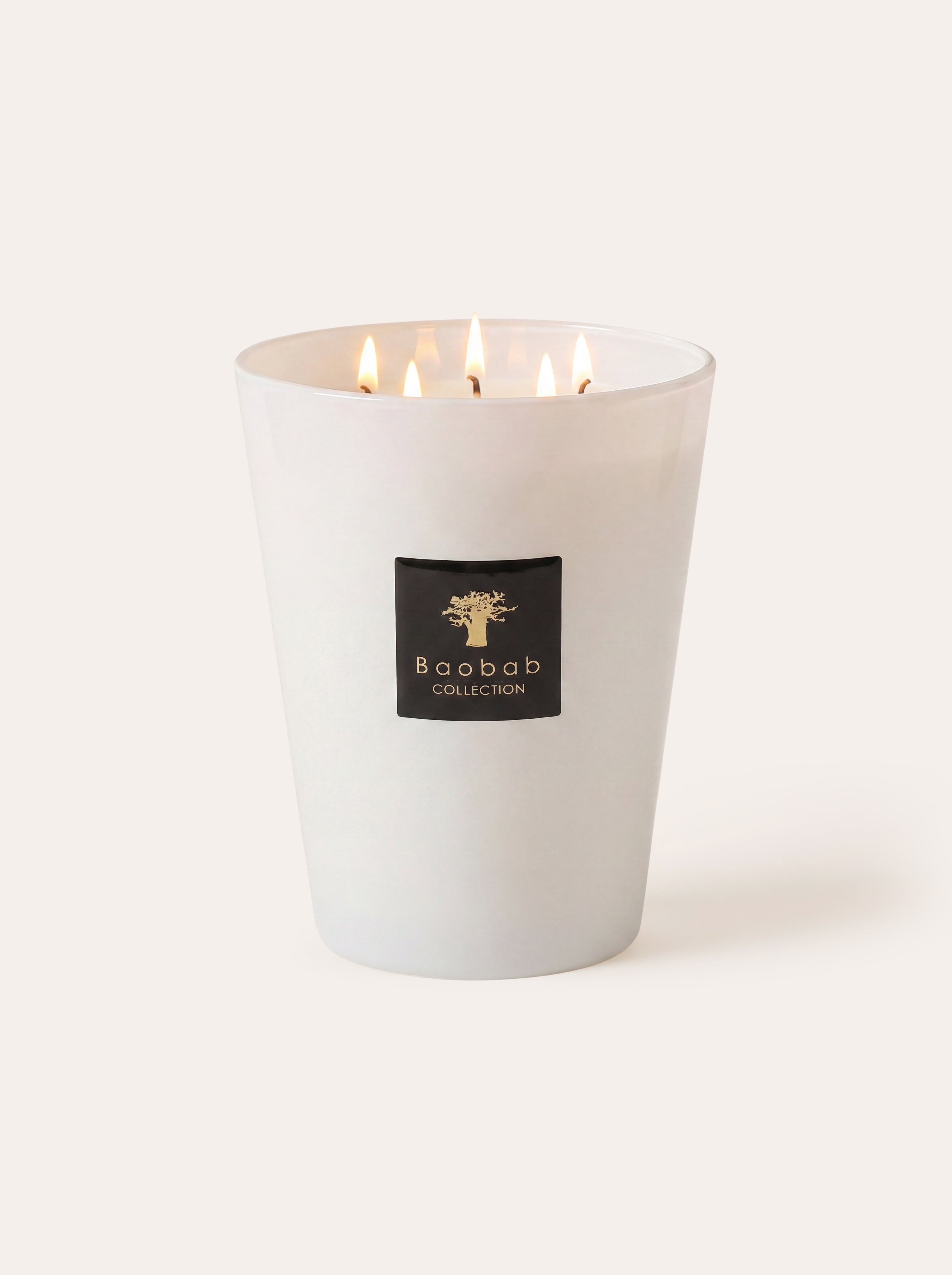 Scented candles • Baobab Collection Inc