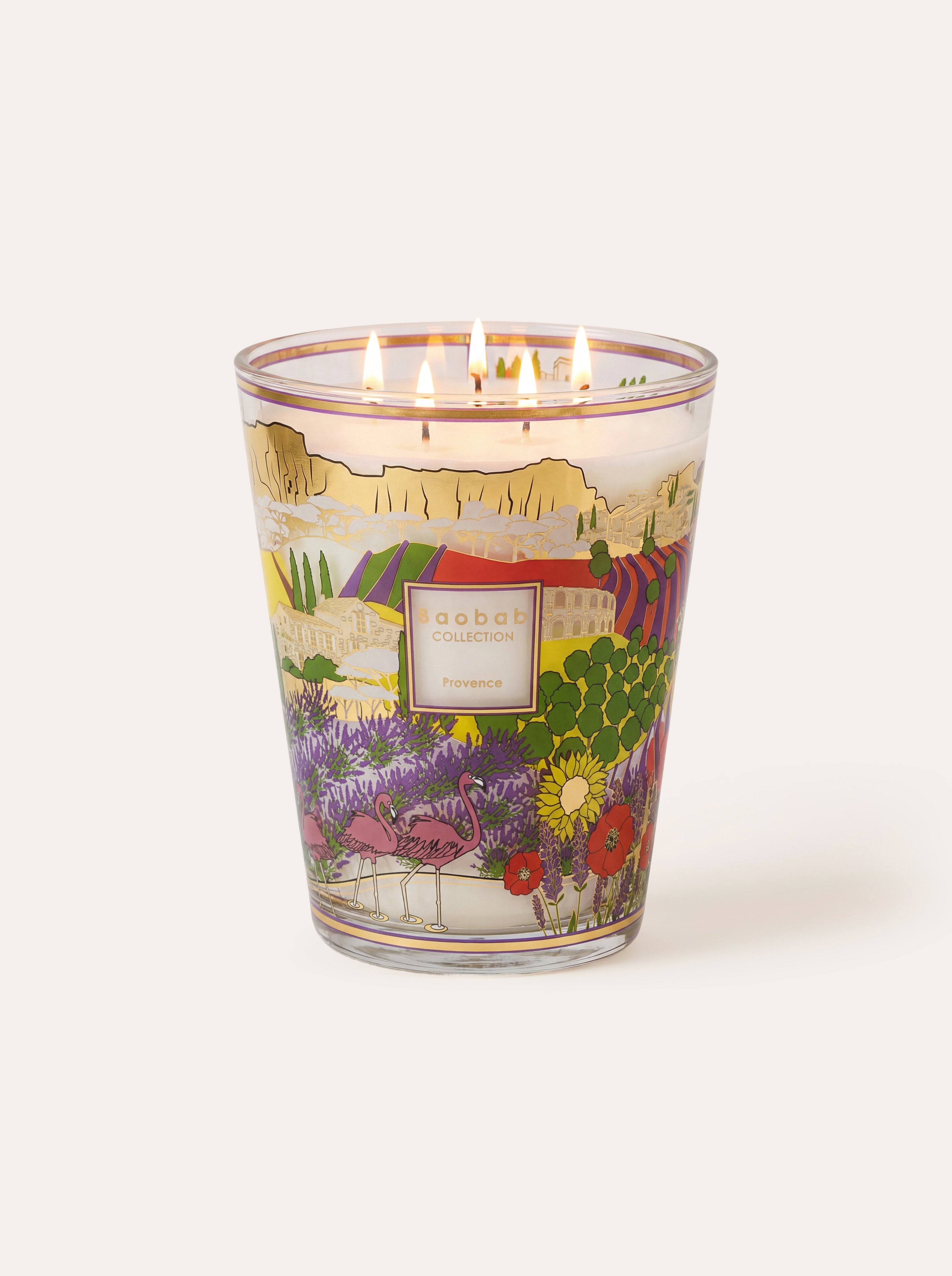 SCENTED CANDLE PROVENCE - BAOBAB COLLECTION • Baobab Collection Inc