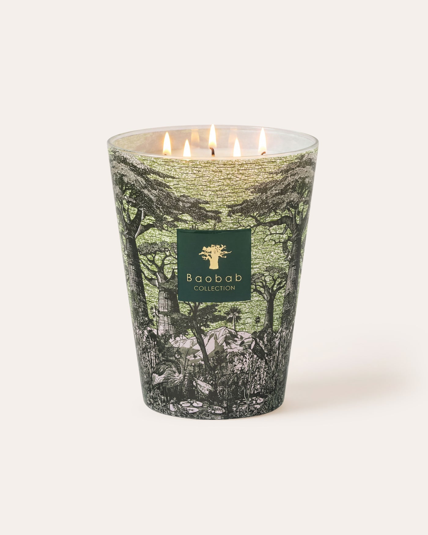 SCENTED CANDLE SACRED TREES TOUBA