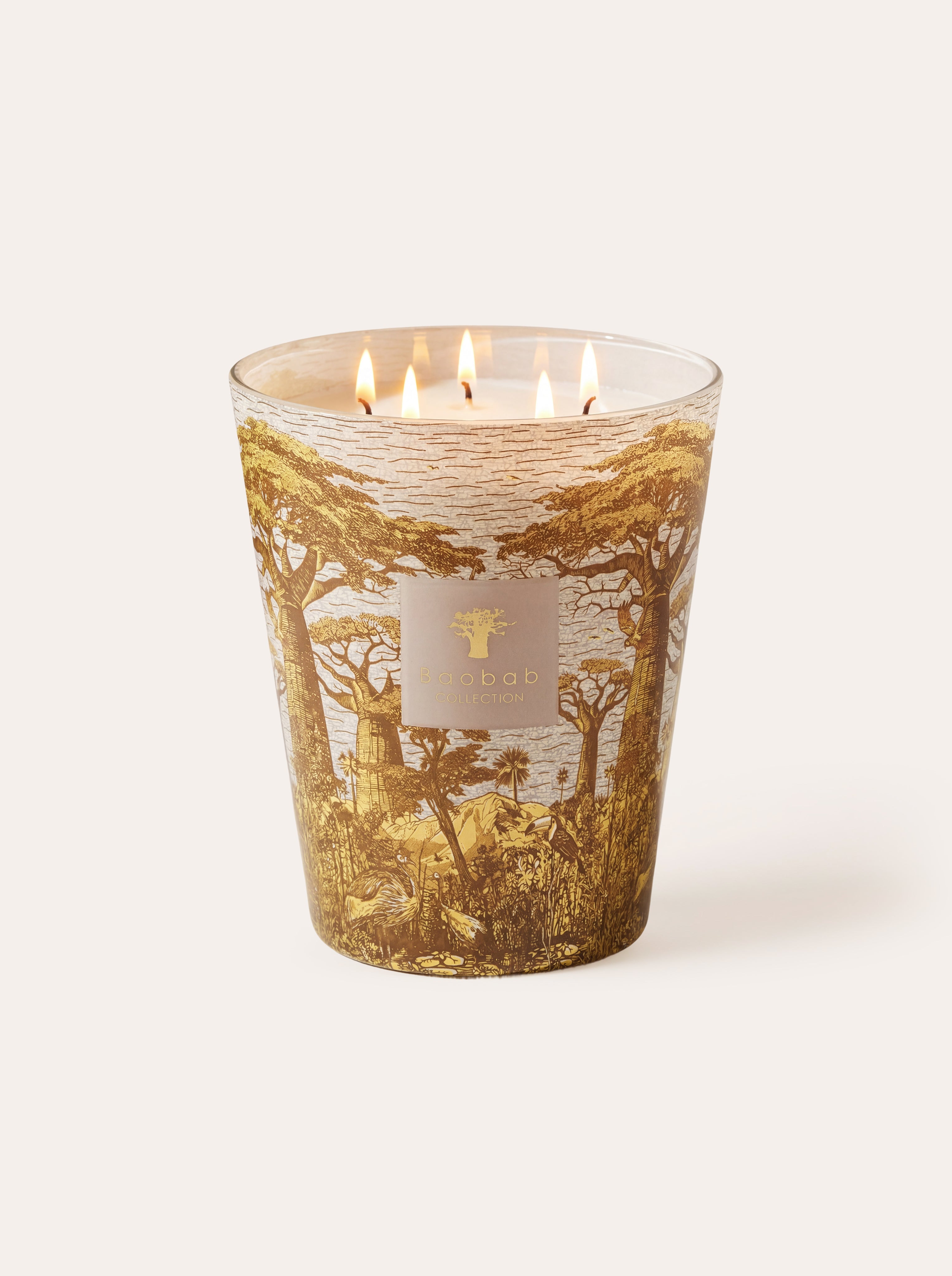 Sacred Trees Collection - Baobab • Baobab Collection Inc