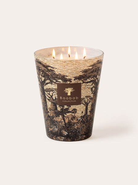 SCENTED CANDLE SACRED TREES MANKONO - BAOBAB COLLECTION • Baobab