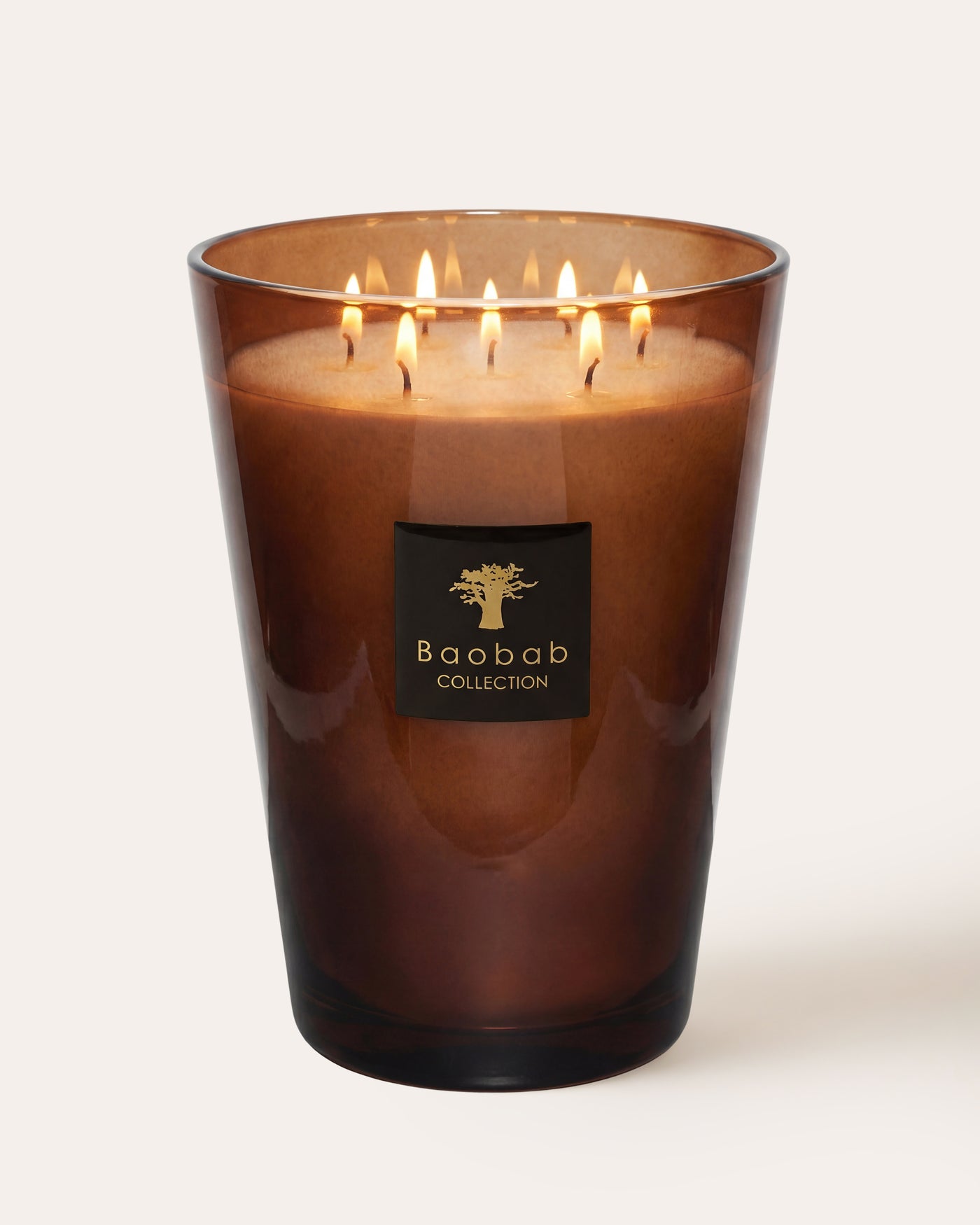 SCENTED CANDLE LES PRESTIGIEUSES CUIR DE RUSSIE MAX 35