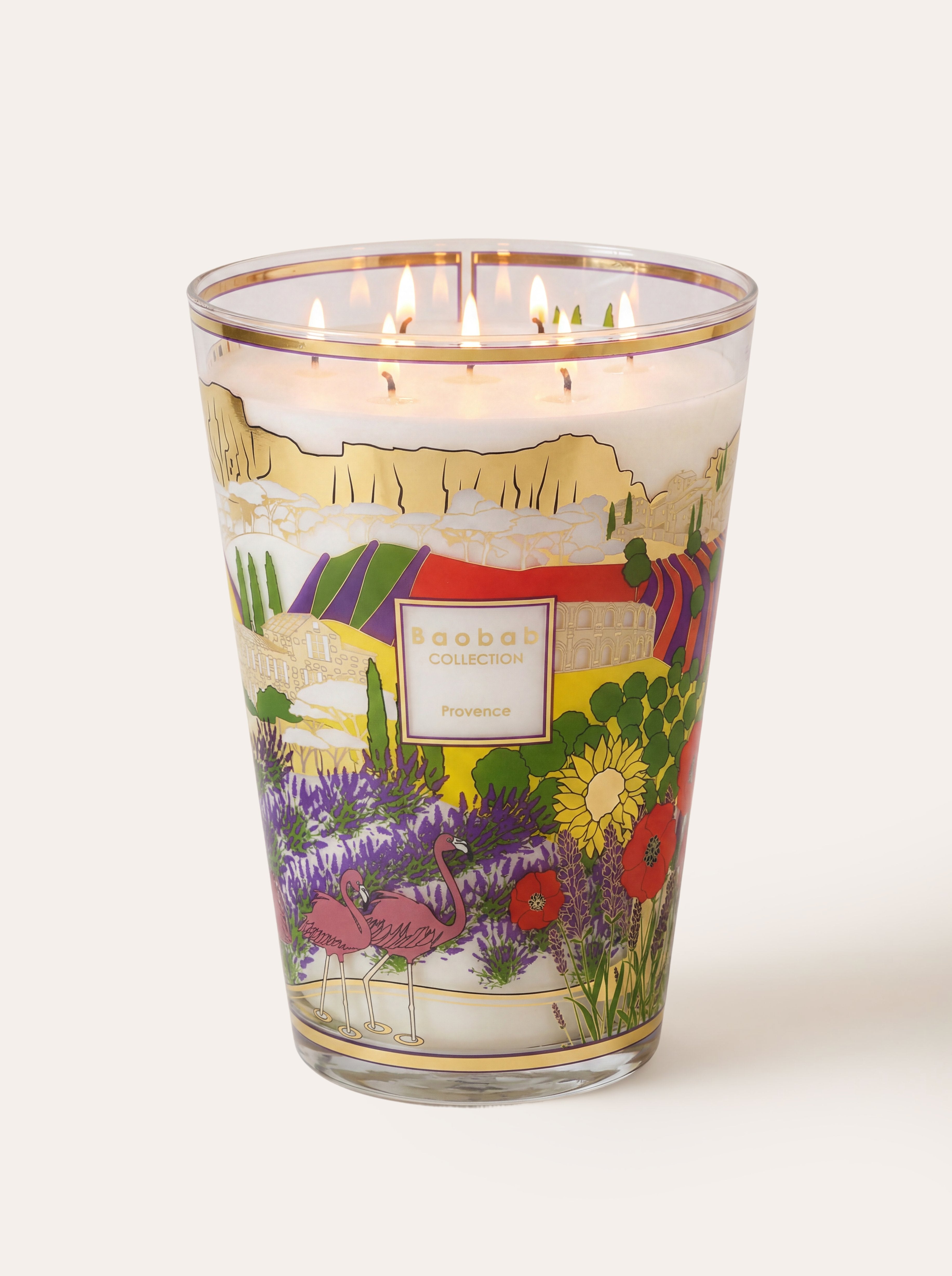 Baobab バオバブ　キャンドル SCENTED CANDLE PROVENCE - BAOBAB COLLECTION • Baobab Collection Inc