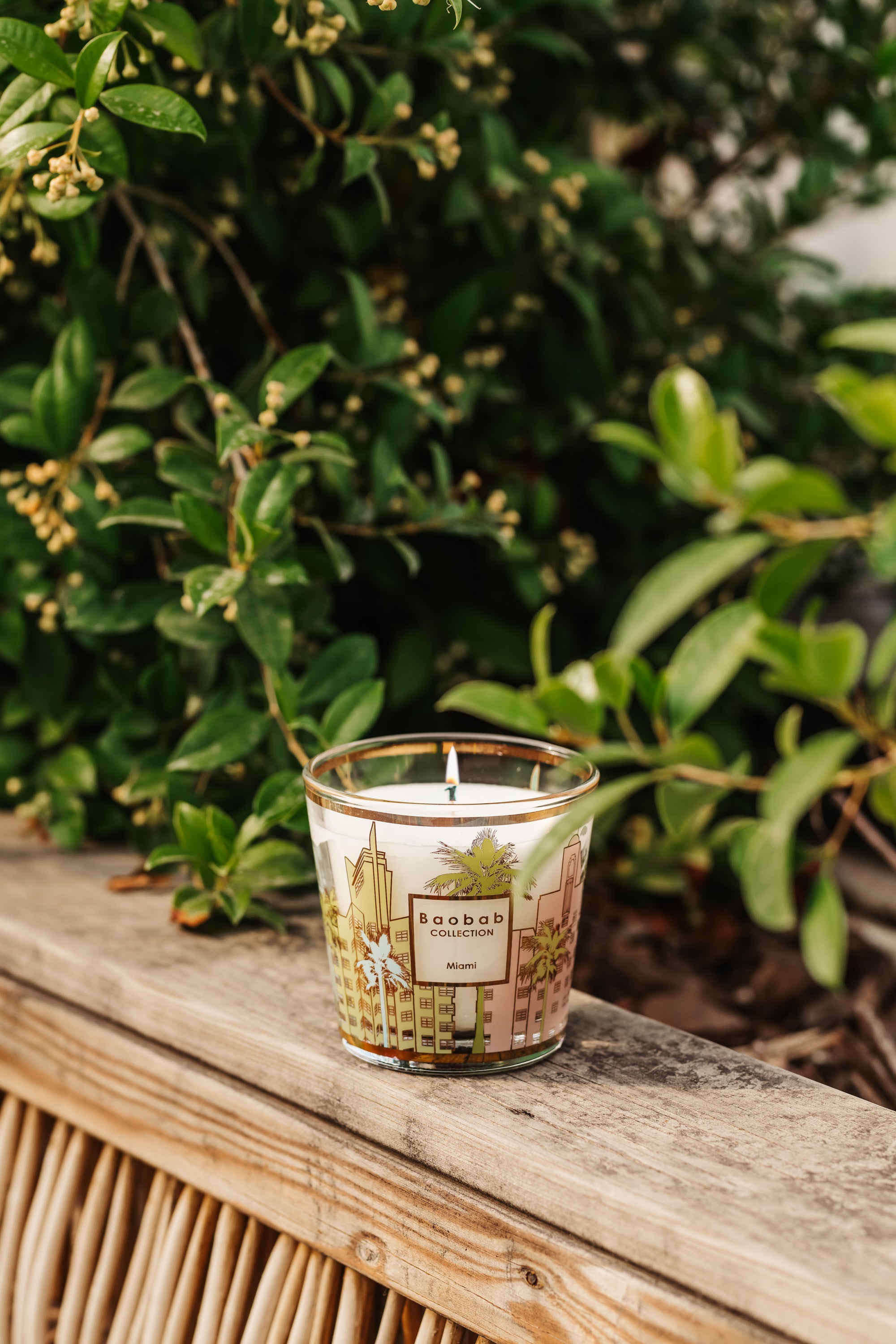 SCENTED CANDLE MY FIRST BAOBAB MIAMI • Baobab Collection Inc