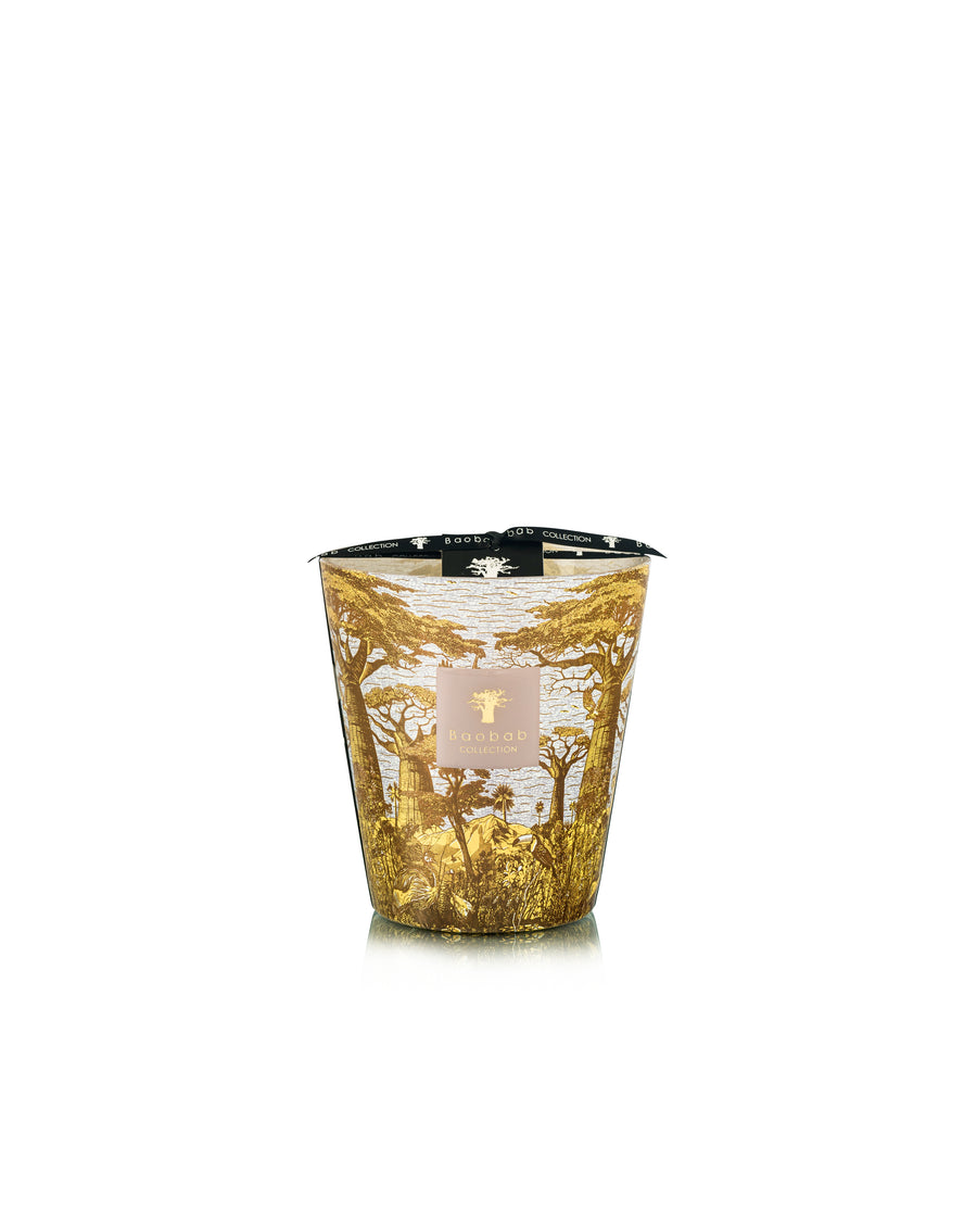 SCENTED CANDLE SACRED TREES BOUNKANI