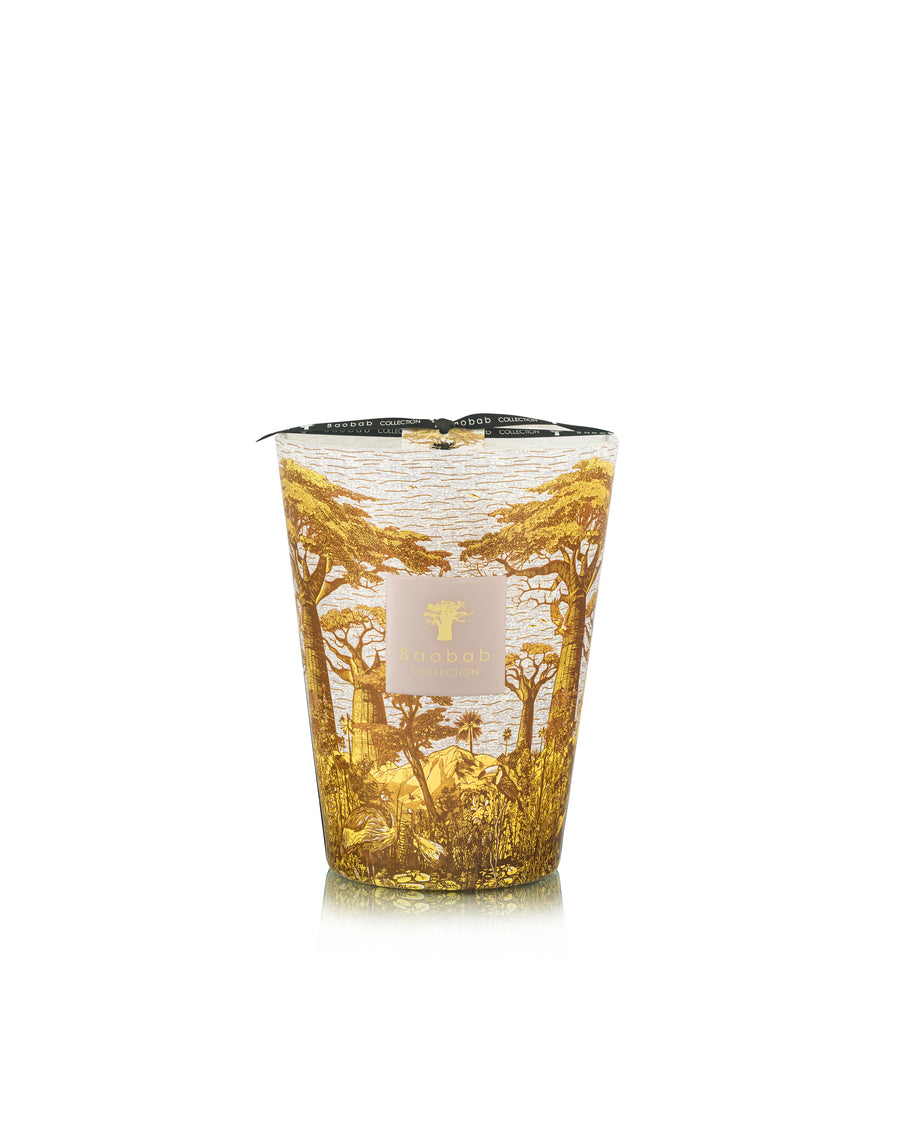SCENTED CANDLE SACRED TREES BOUNKANI
